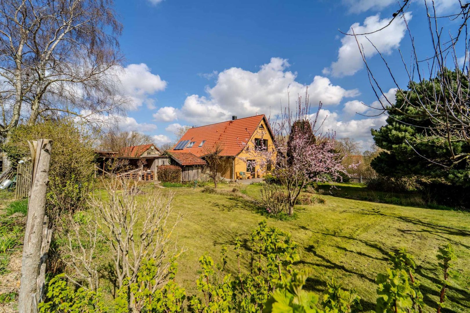 Außenansicht + Garten