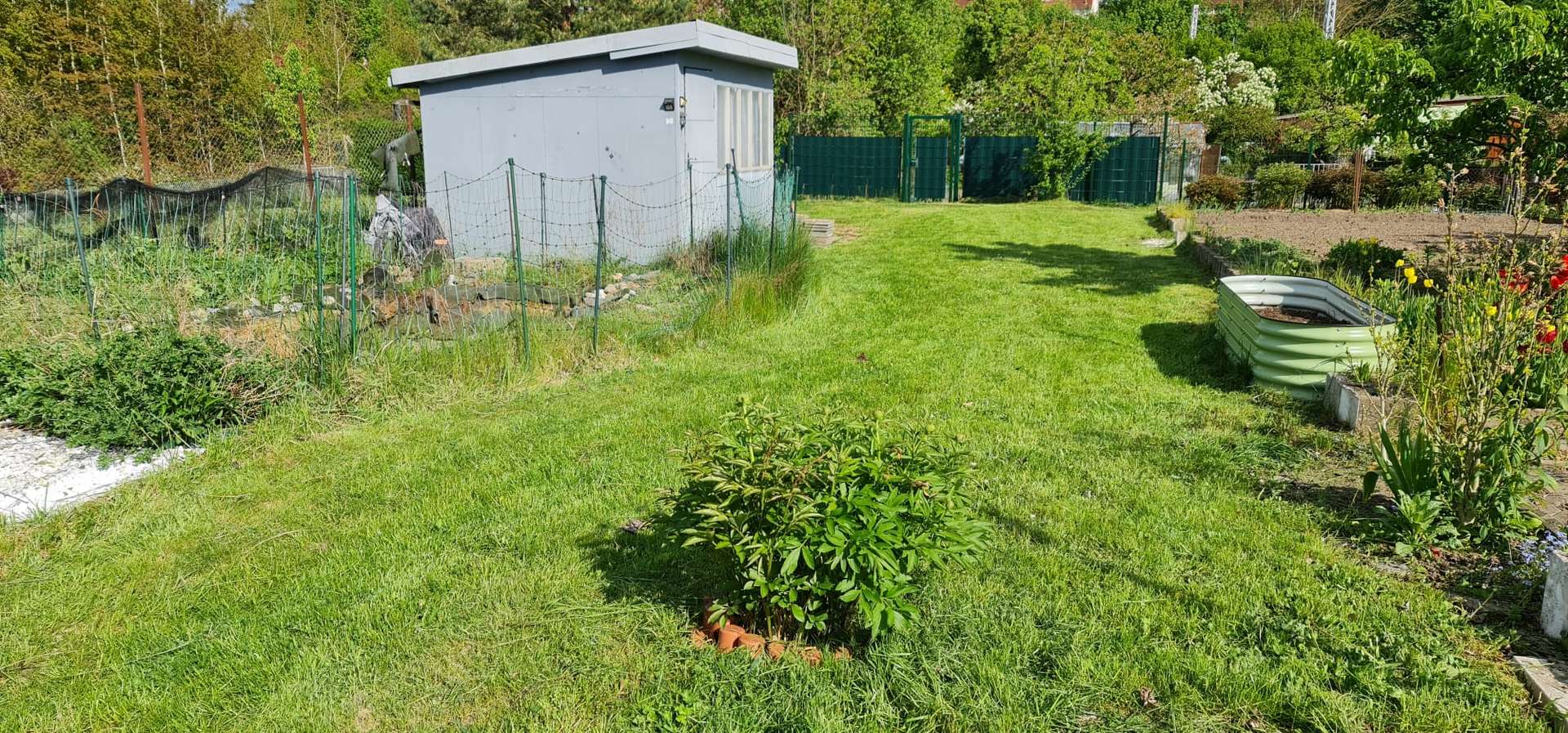 Außenansicht mit Garten