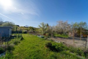 Außenansicht mit Garten