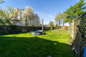 Außenansicht + Garten
