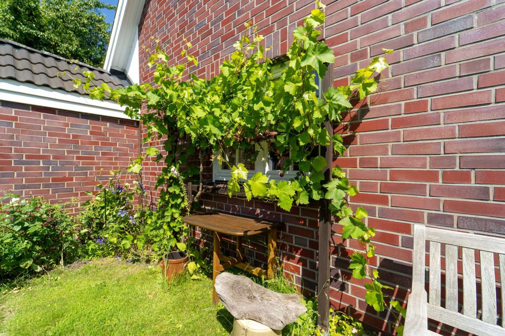 Gartenimpressionen