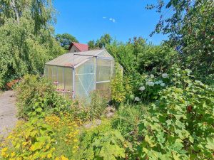 Gewächshaus im Garten