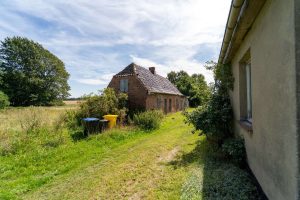 Außenansicht + Garten