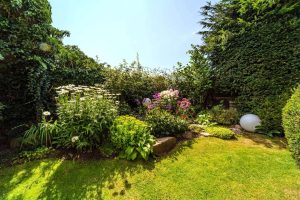 Außenansicht + Garten