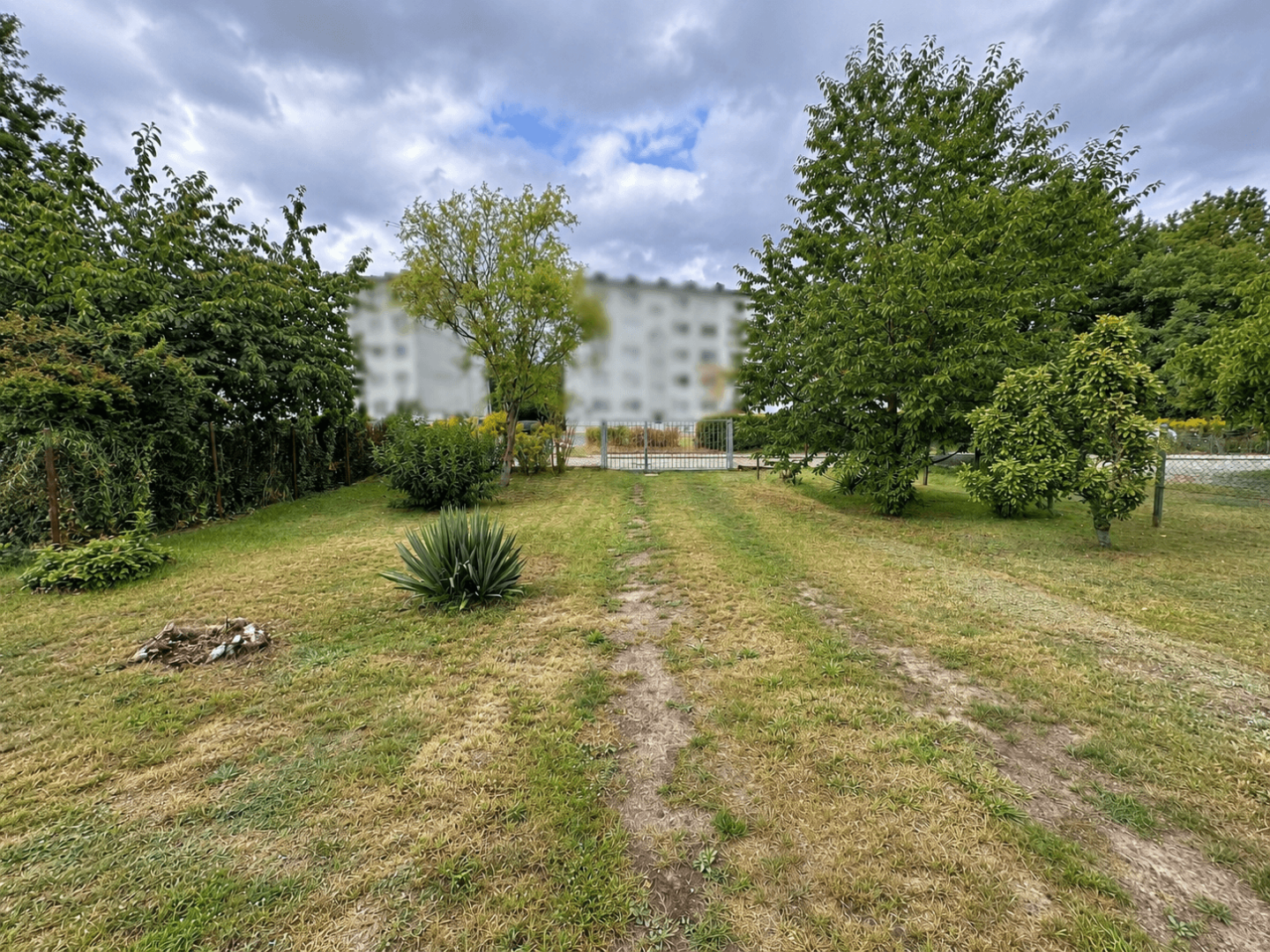 Garten mit Grundstücksauffahrt