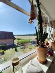 EHF - Ausblick aus dem Galeriezimmer in EFH 1