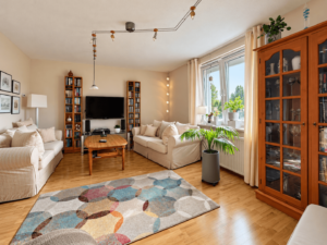 Gemütliches Wohnzimmer im OG